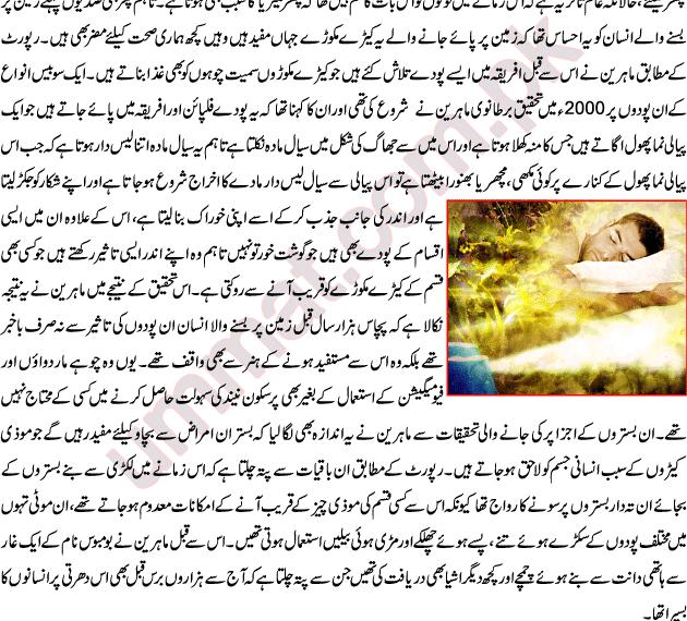 Aol time essay complete t filmbay iv 221 html 08 picture