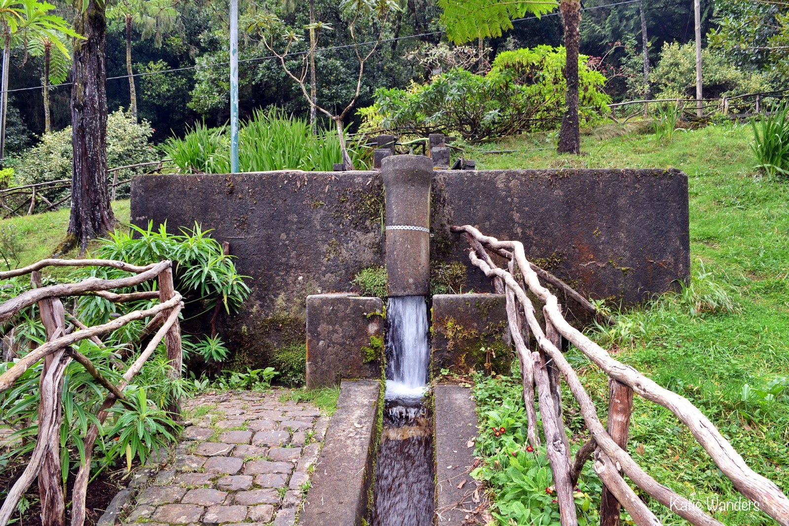 Katie Wanders Ribeiro Frio Trout Farm Madeira Island