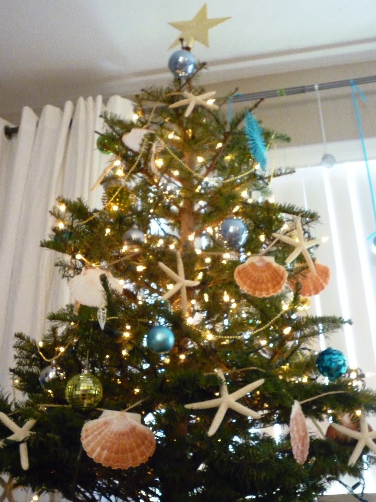 Turned to Design Beach Christmas