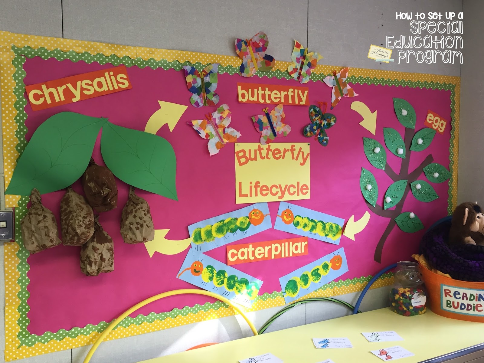 "How To Set Up A Special Education Program" Bulletin Boards Autism