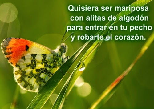 cortos para el dia de la mujer - 8 de marzo | Poemas para enamorar cortos para el dia de la mujer - 8 de marzo | Poemas para enamorar