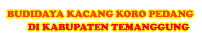 Koro Pedang