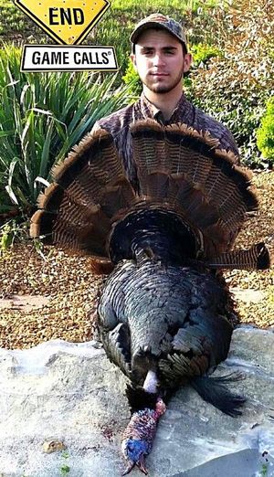 The Rural Blog: Turkey believed to be the world's largest, at 37.6 pounds,  is bagged in Western Kentucky