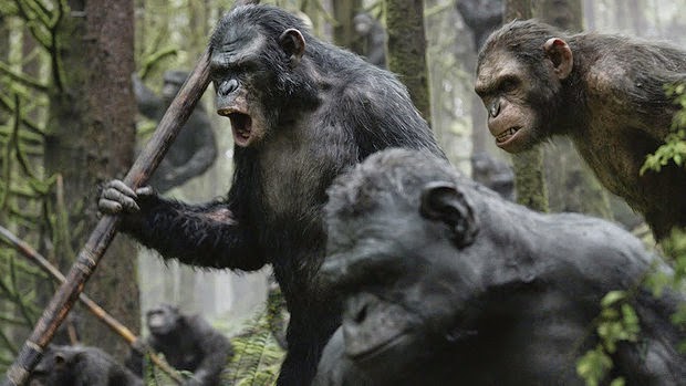 O planeta é dos macacos ou dos símios? - palavras sobre palavras