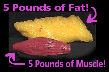 fat+vs+muscle.jpg