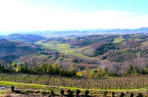 Tokaj Wine Region Historic Cultural Landscape Hungary Tokaj Wine Region Historic Cultural Landscape Hungary