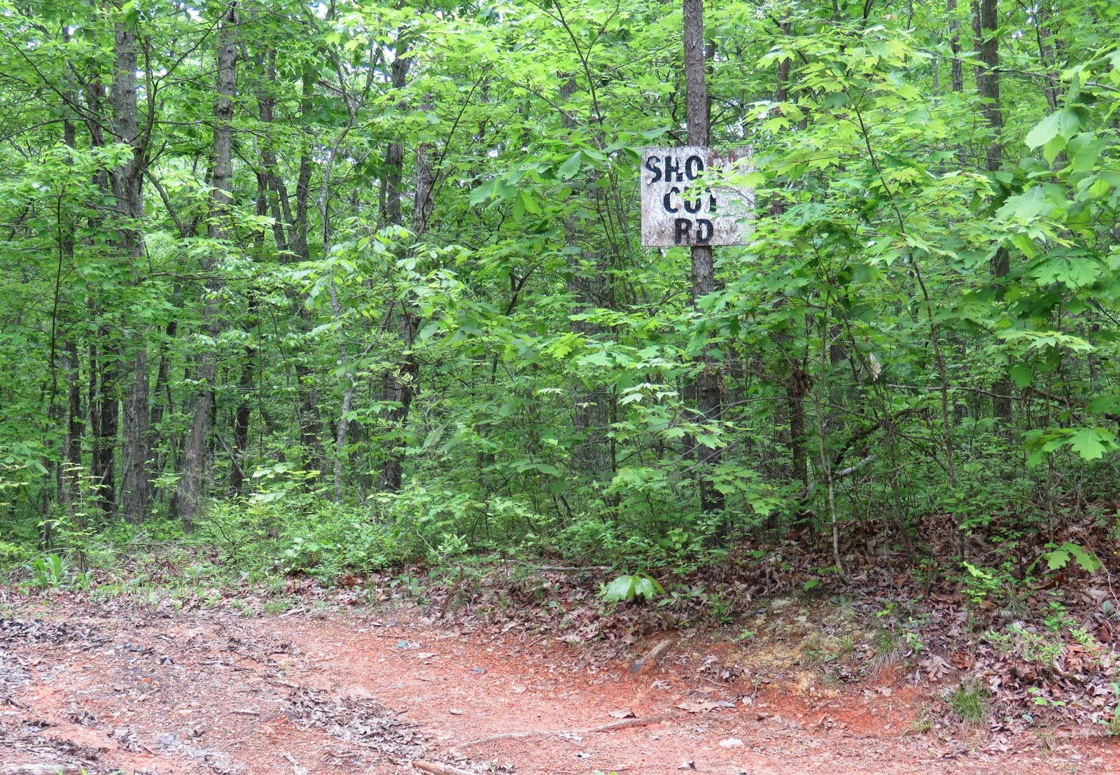 Where's Liz? 2015 The Real Walton's Mountain