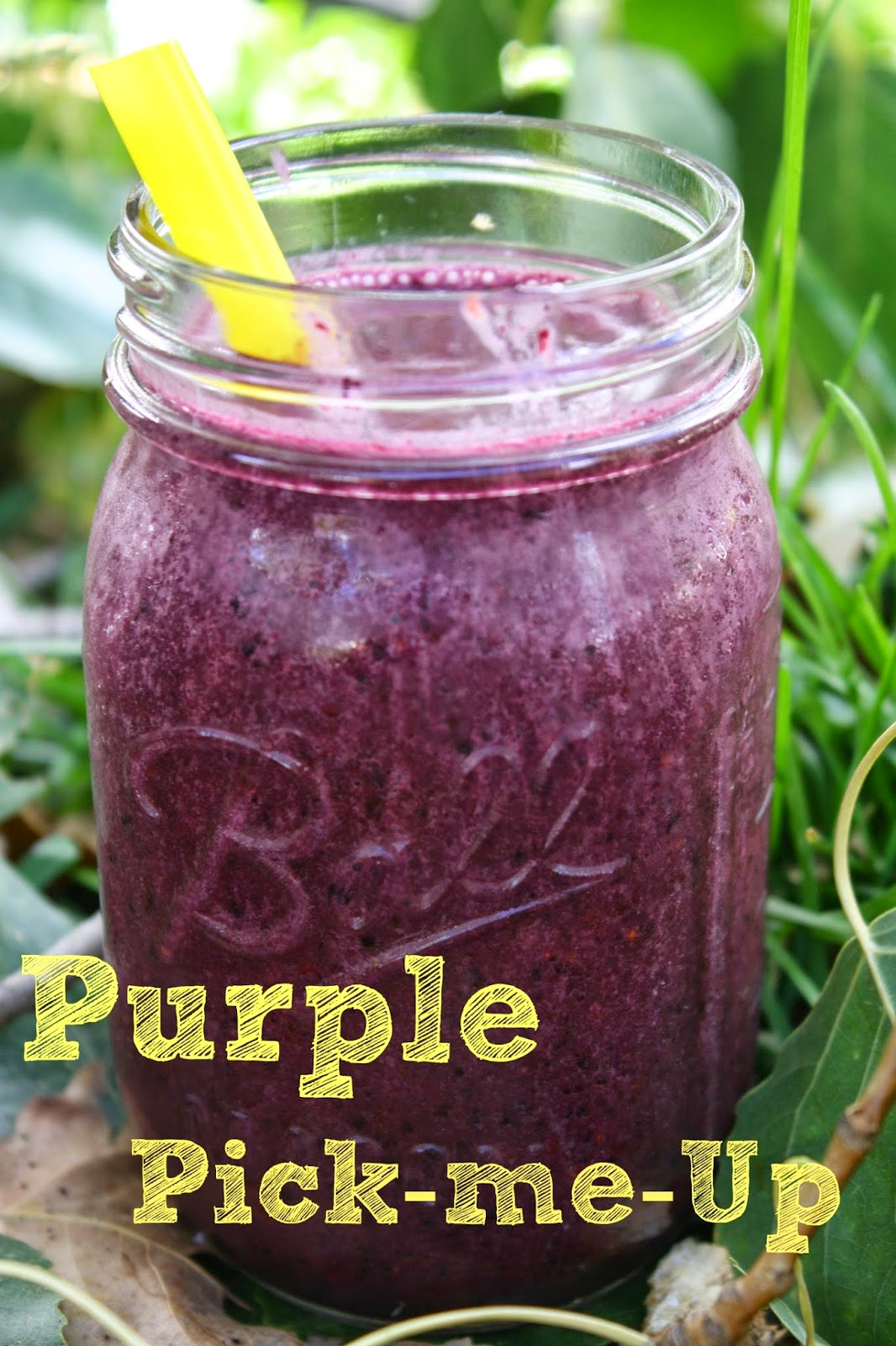 Sara's Home Life Purple PickMeUp