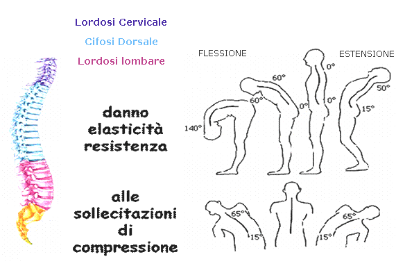 Perché la scapola destra di un dorso fa male durante gravidanza