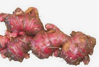 Red Ginger Herbs Solo Red Ginger For Treating Stroke And Heart Diseases