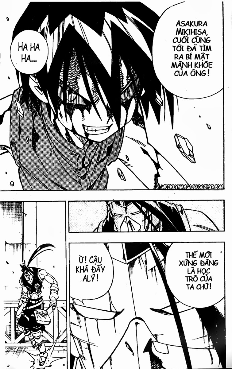 Shaman King [Vua pháp thuật]