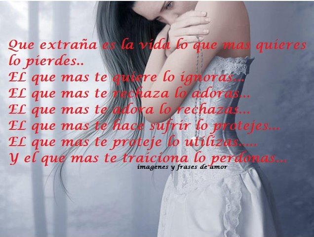 hermosas amor con frases hermosas de amor, imagenes de amor frases