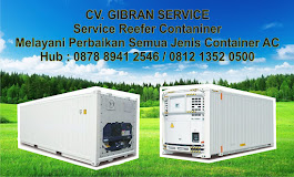 Service Reefer Container