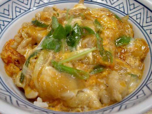 Japanese recipes chicken donburi Japanese recipes chicken donburi