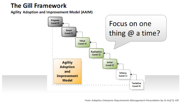 Figure 1 - The Gill Framework Agility Adoption and Improvement Model (AAIM)