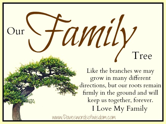 our family tree like branches of a tree we may grow in many different