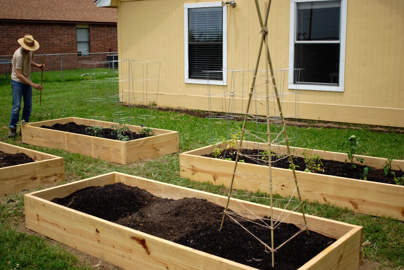 tend: raised bed gardening