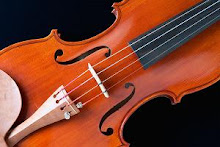 Violinista en el Blog