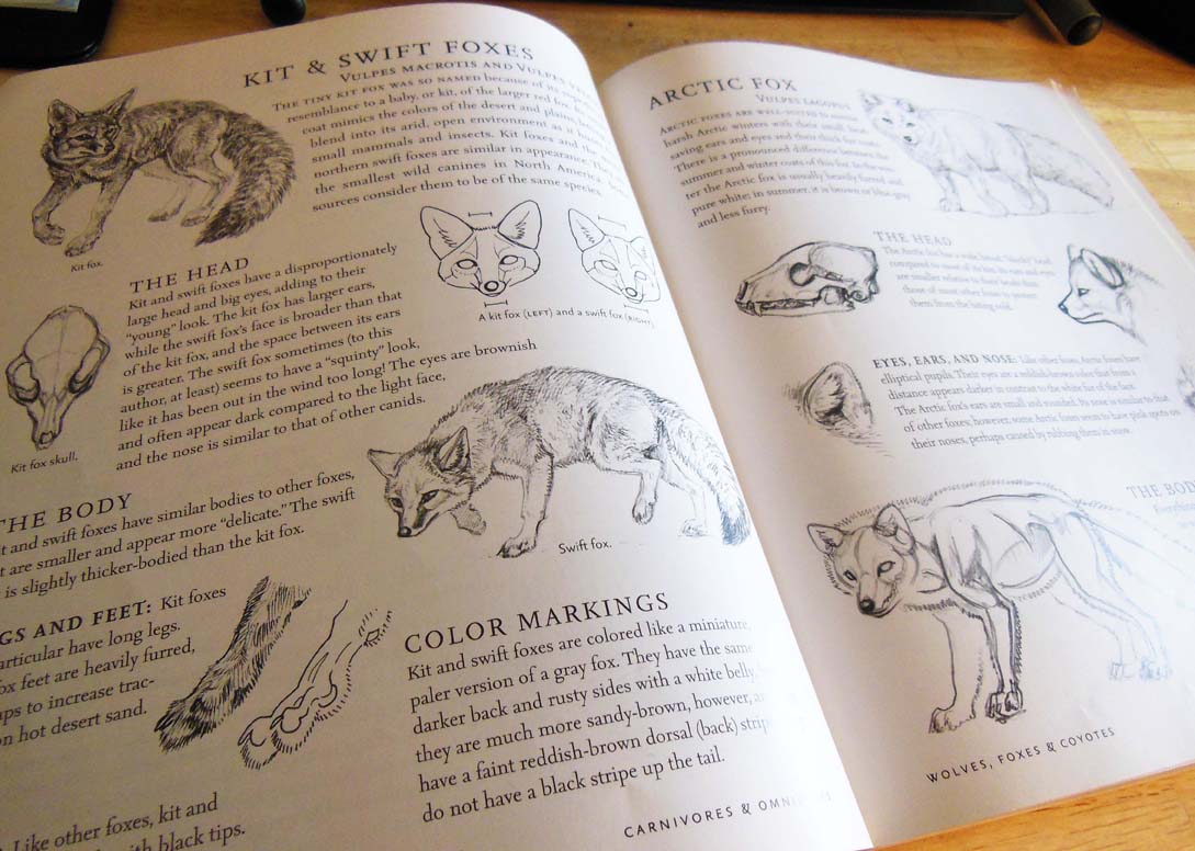 Library for Character Creators