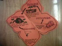 Literacy & Math Ideas: Using Flowcharts to Increase Comprehension