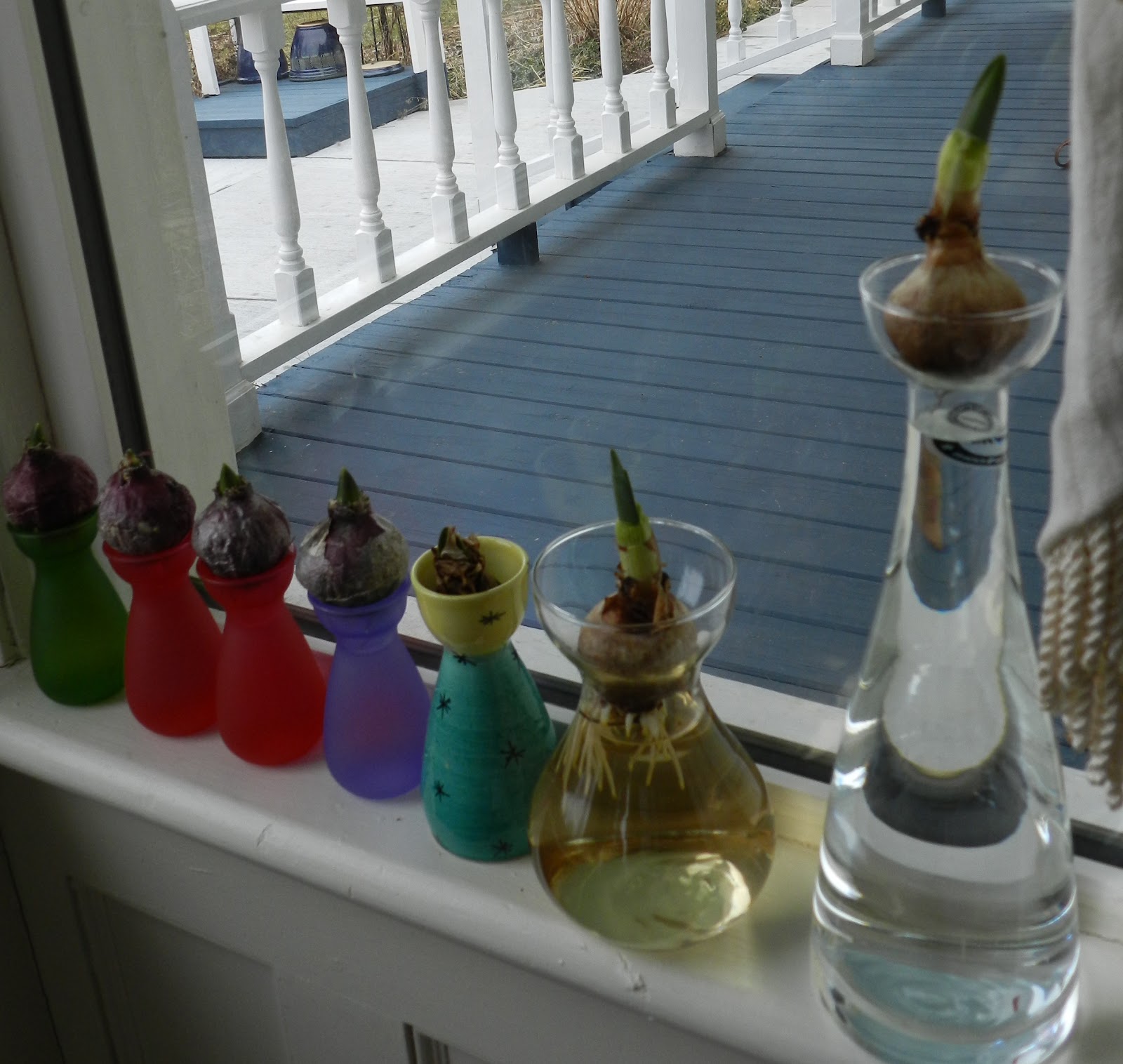 For the Love of Gardening Hyacinth Bucket