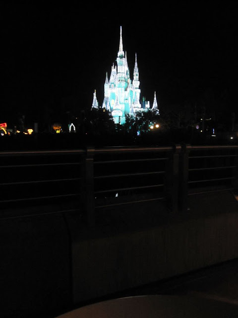 Guest Post - Amber and Thomas' Pixie Dusted Honeymoon at Walt Disney World Guest Post - Amber and Thomas' Pixie Dusted Honeymoon at Walt Disney World