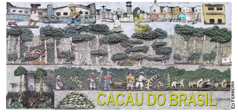 CACAU DO BRASIL