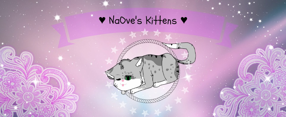NaOve's Kittens