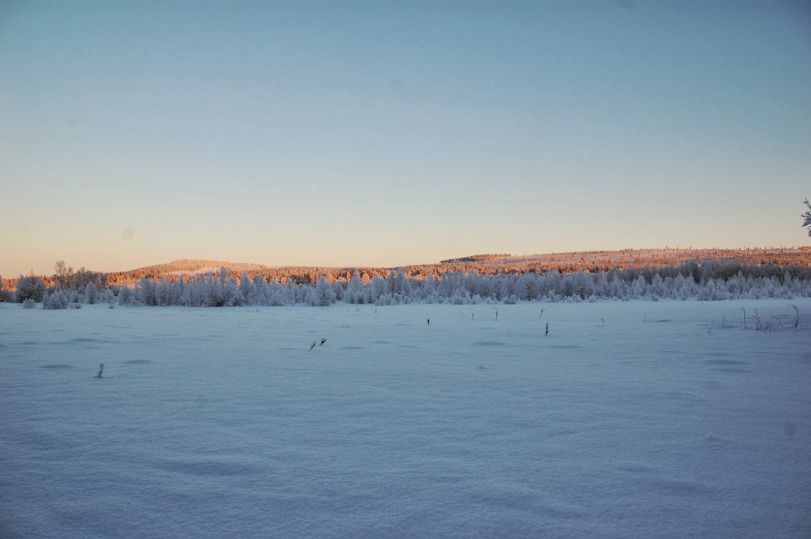 Svanå trädgård: 32 º c