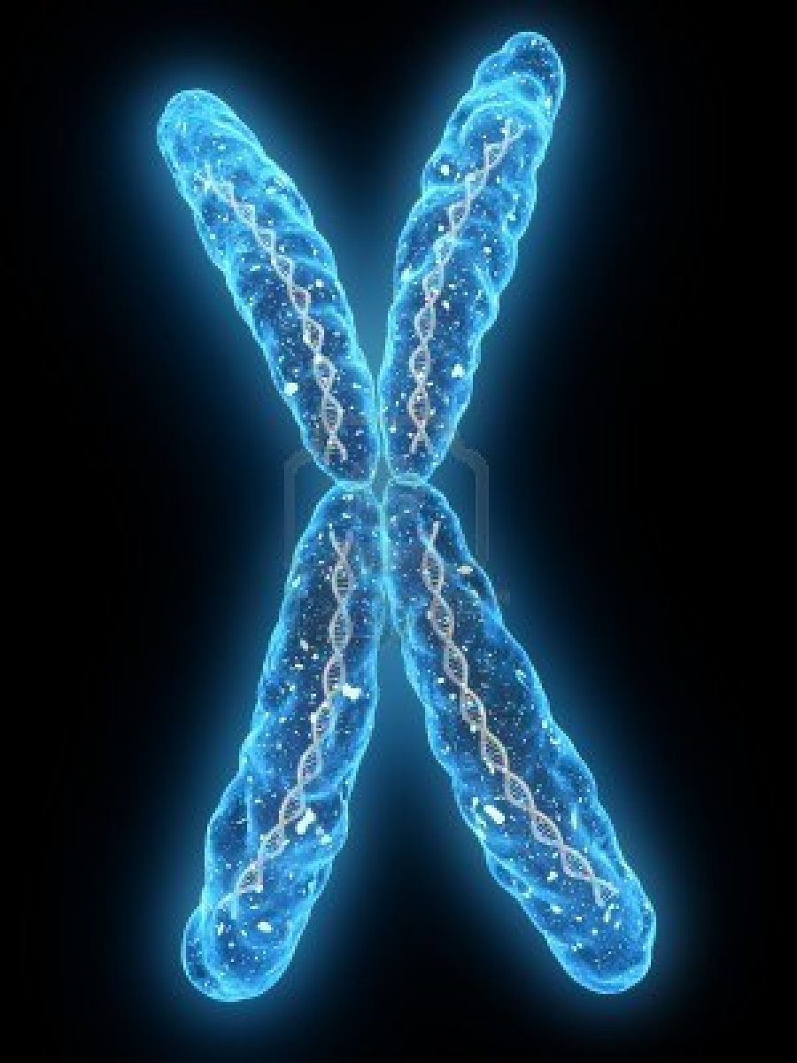 overview of chromosones Overview of chromosome abnormalities what is a chromosome the human body is made up of cells for example, when you have a sunburn and your skin peels, then you are shedding skin cells. overview of chromosones Overview of chromosome abnormalities what is a chromosome the human body is made up of cells for example, when you have a sunburn and your skin peels, then you are shedding skin cells.