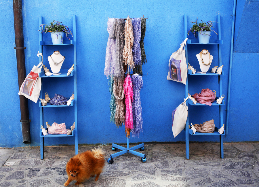 Colourful scarves and a dog in front of a blue wall on the island of Burano, photographer - Katie Currid, Freckle & Fair