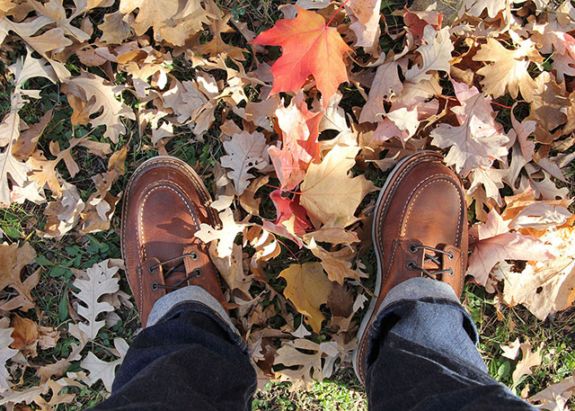 Red Wing boots in red-tipped leaves