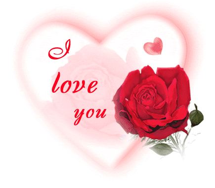 love you love you