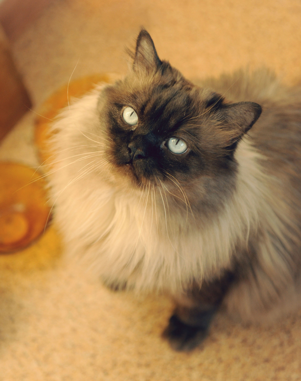 Один творческий день. 