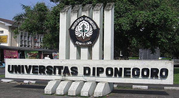 UNDIP UNDIP