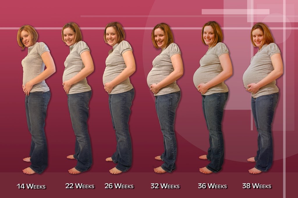 33 Weeks Pregnant 3d Ultrasound