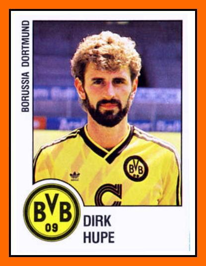 Stern Des Sudens 2015