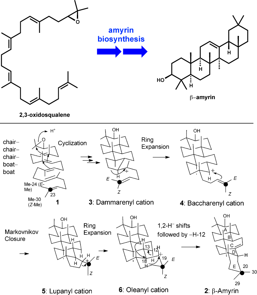 Modern Steroid Science October 2015