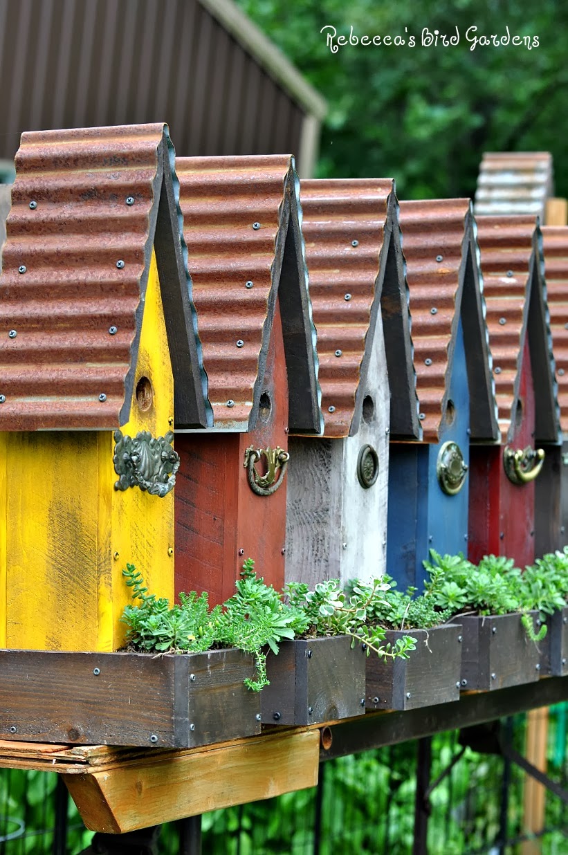 Rebecca's Bird Gardens Products and Photos