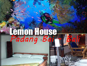 Lemon House Bali