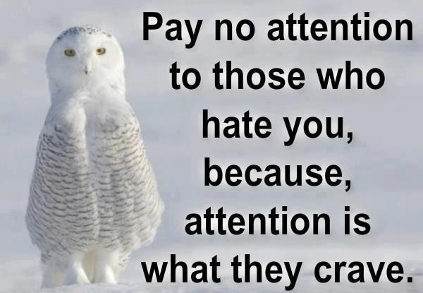 Pay No Attention
