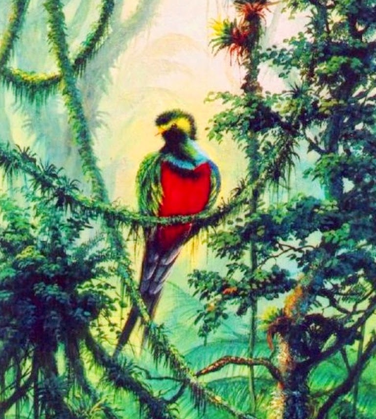 cuadros-de-pajaros-pintados-al-oleo oleos-de-pajaros