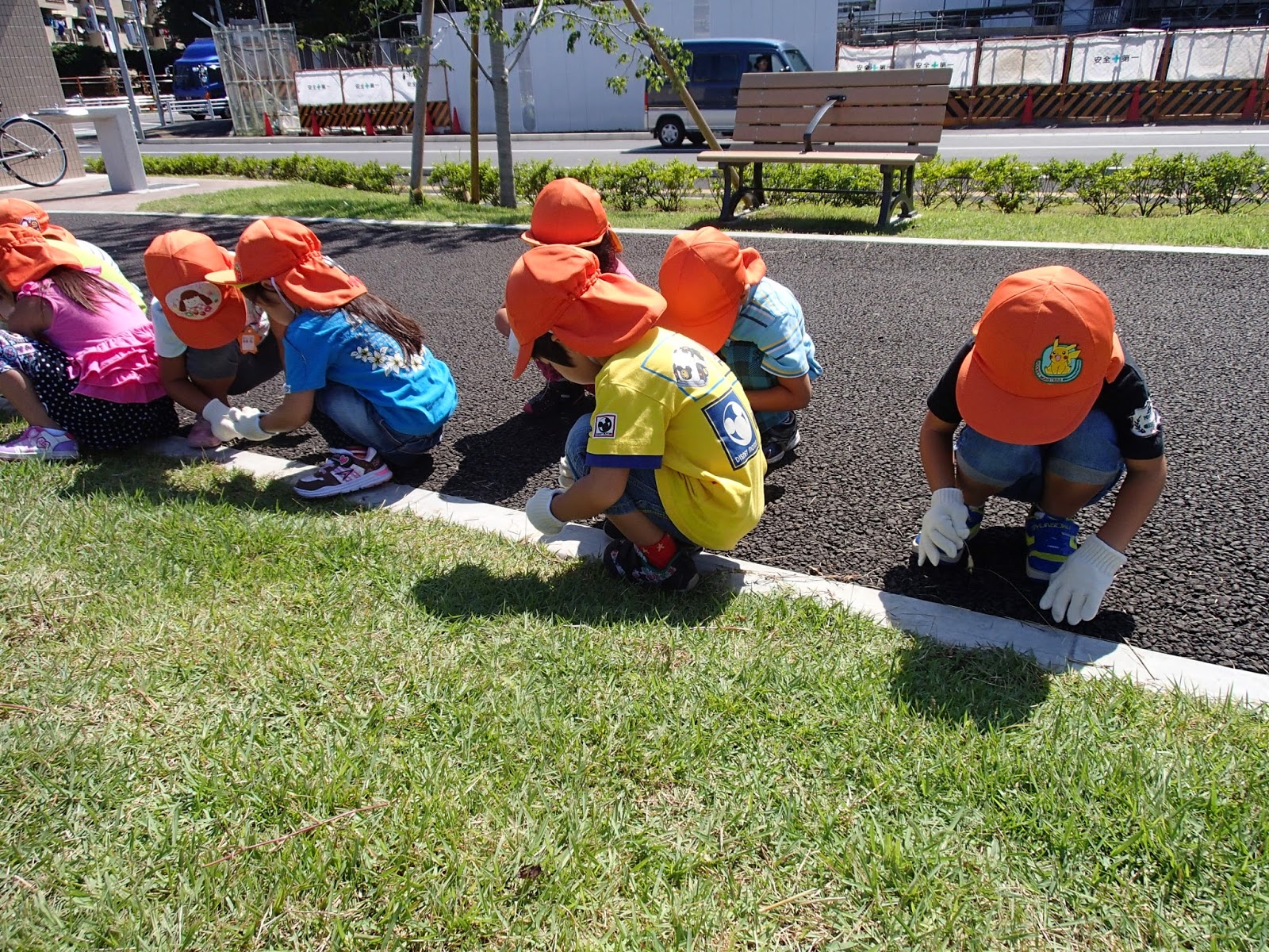 こんにちは 柏中央保育園です ひまわり組 ボランティア活動