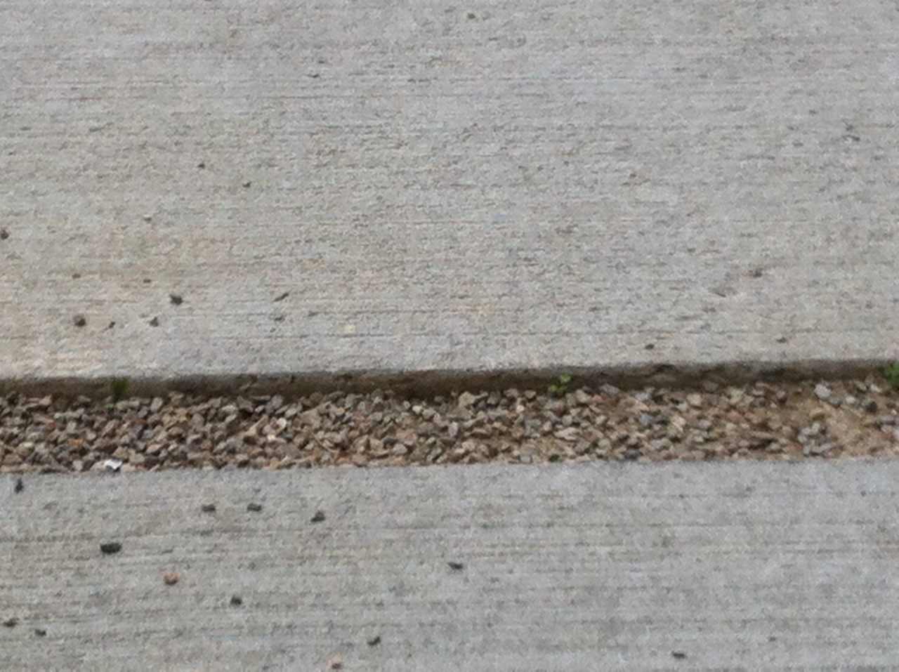 curateur public a la rencontre de la personne