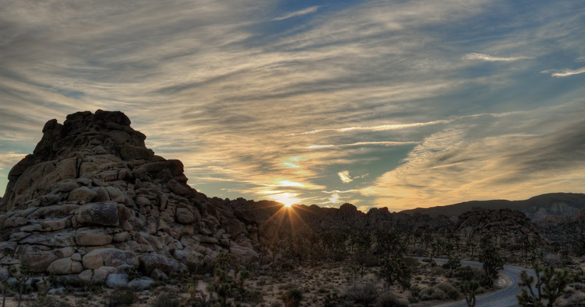 UNIQUELY JOSHUA TREE Quail Springs Picnic Area