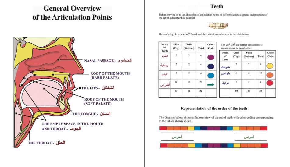 Awatif AlHashimi General Overview of Articulation Points