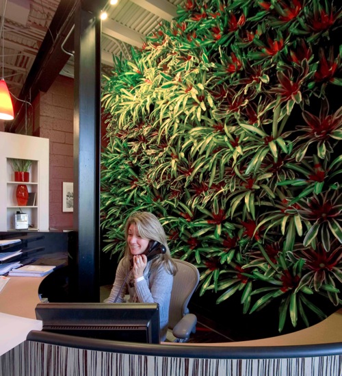 Living wall systems Living wall art Urban gardening