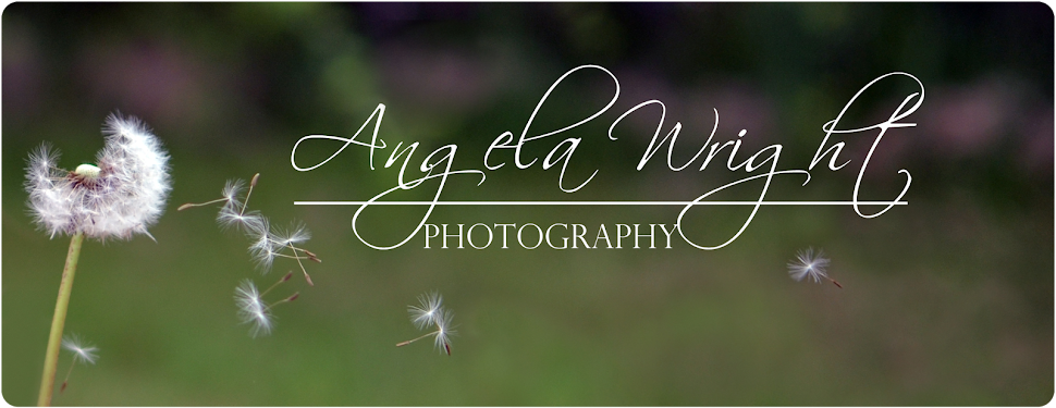 Angela Wright Photography