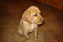 Ruby's Puppy Picture