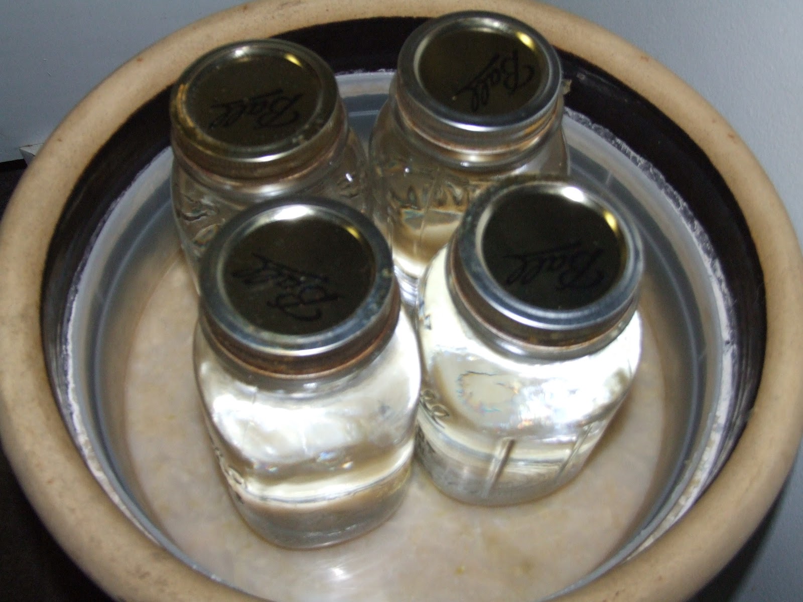 Canning Fermented Cabbage Sauerkraut Canning Homemade!